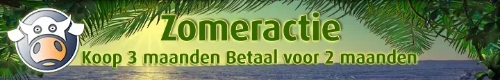SummerSale_NL.webp