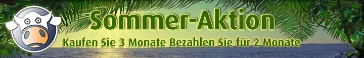 Summer-Sale-D.webp